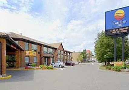 Отель Comfort Inn Брамптон